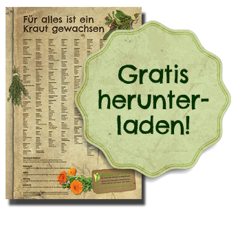 Infoposter Heilpflanzen und Heilkräuter